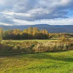 Bialy Deren Z Balia Na Wylacznosc Milówka