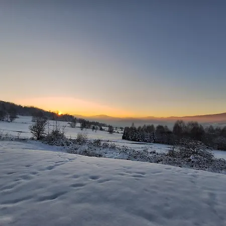 Bialy Deren Z Balia Na Wylacznosc *