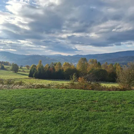 Bialy Deren Z Balia Na Wylacznosc *