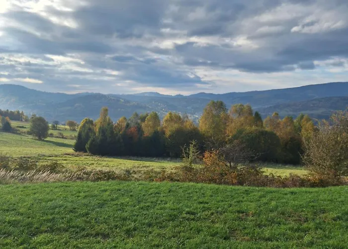Biały Dereń Z Balią Na Wyłączność *