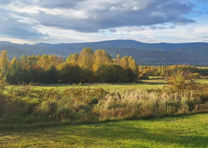 Biały Dereń Z Balią Na Wyłączność Milówka