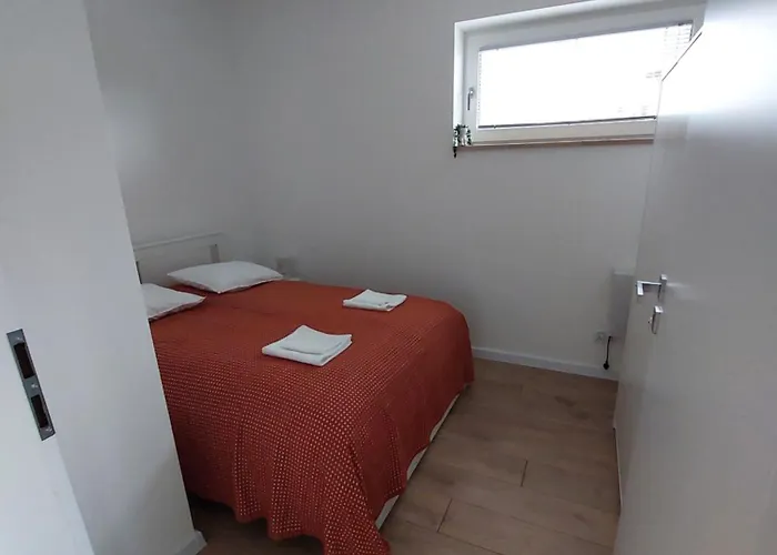 Biały Dereń Z Balią Na Wyłączność * Milówka