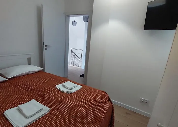 Biały Dereń Z Balią Na Wyłączność