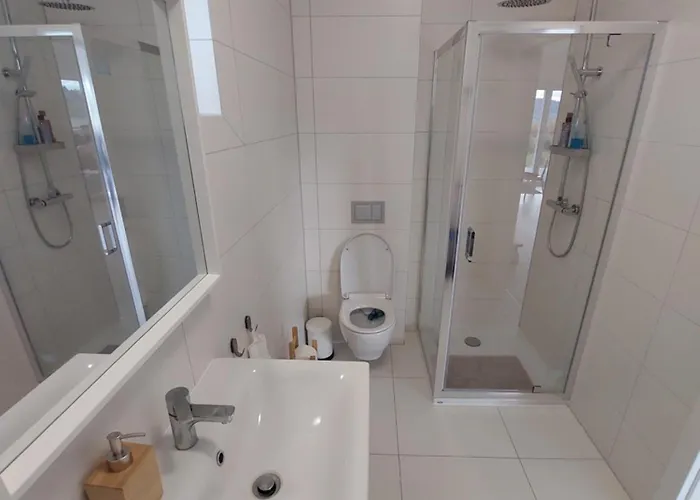 Biały Dereń Z Balią Na Wyłączność